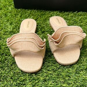 Larroude Ivy Ruffle size 6 NIB
